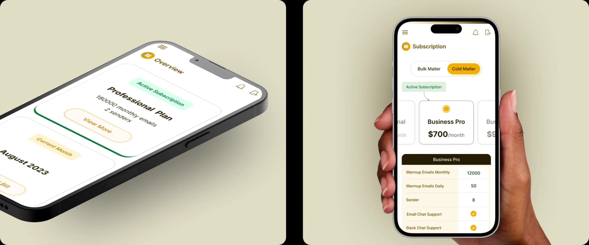 Logo Design, Brand Kit & Visual Identity